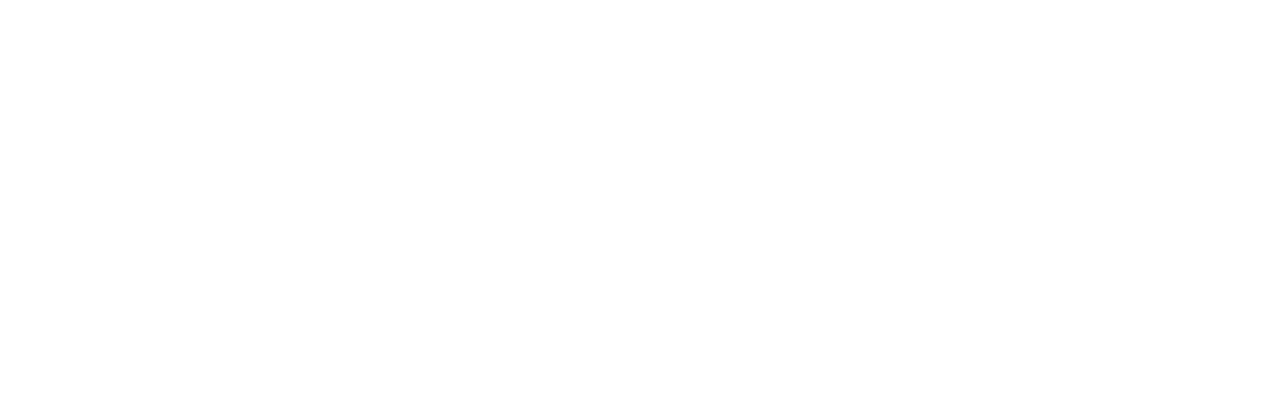 NetHawk Logo