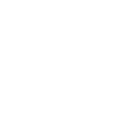 NetHawk Icon